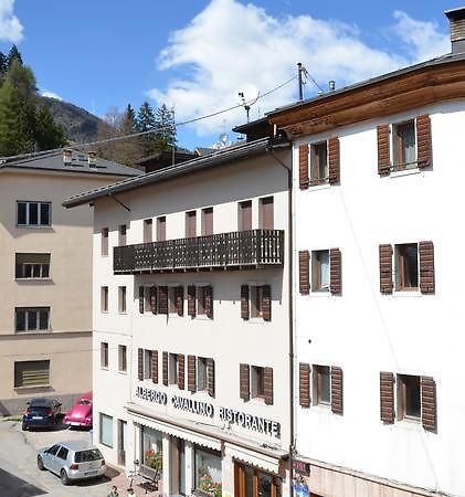 Albergo Cavallino Pieve di Cadore Exteriör bild