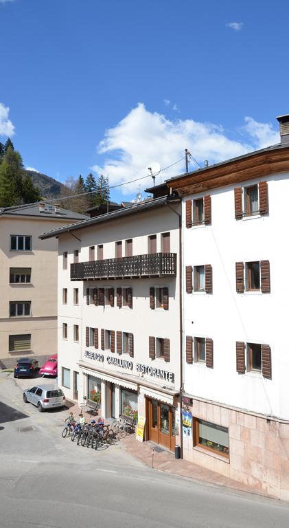 Albergo Cavallino Pieve di Cadore Exteriör bild